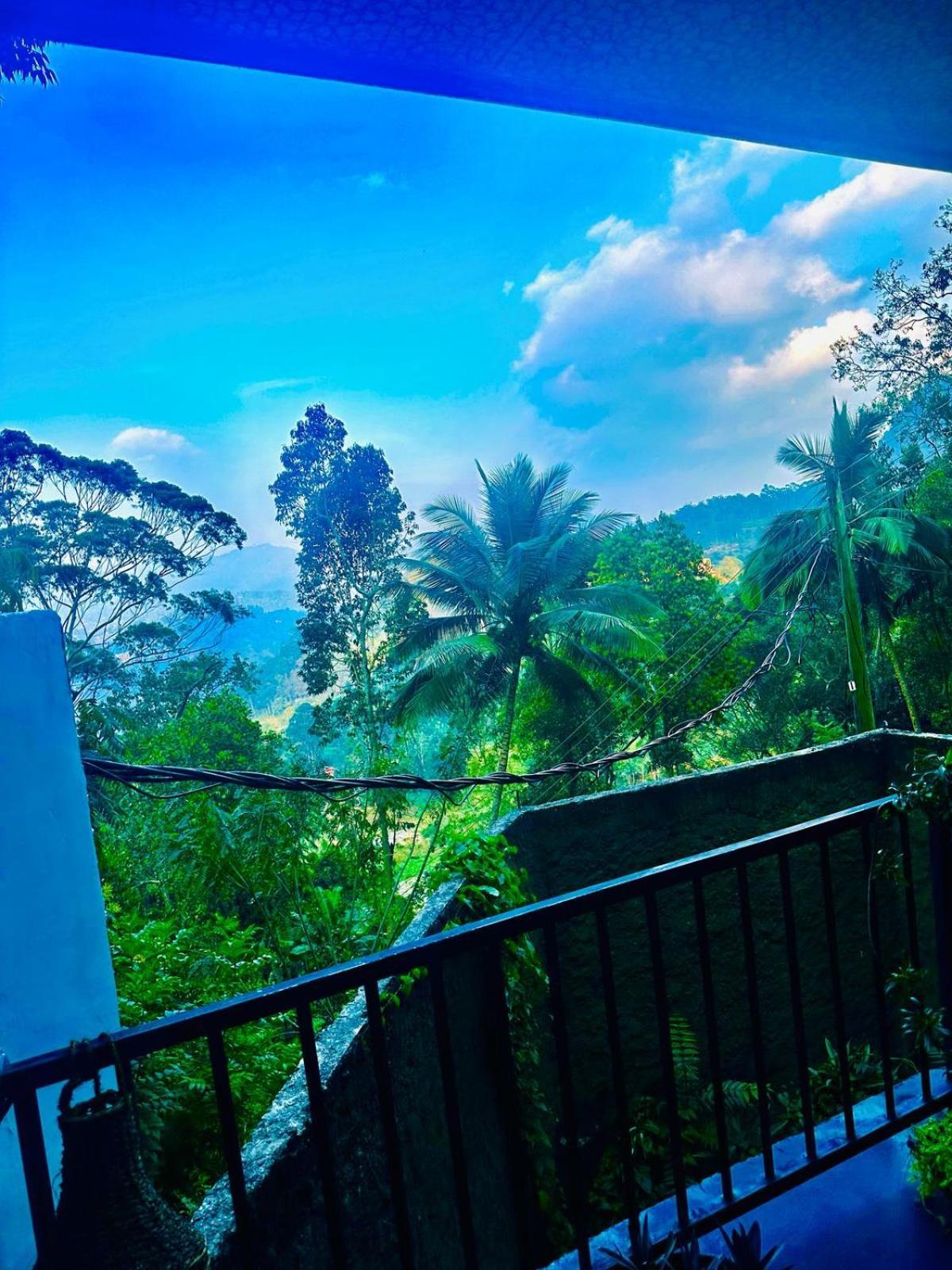 Shining Green View Ella Bilik gambar