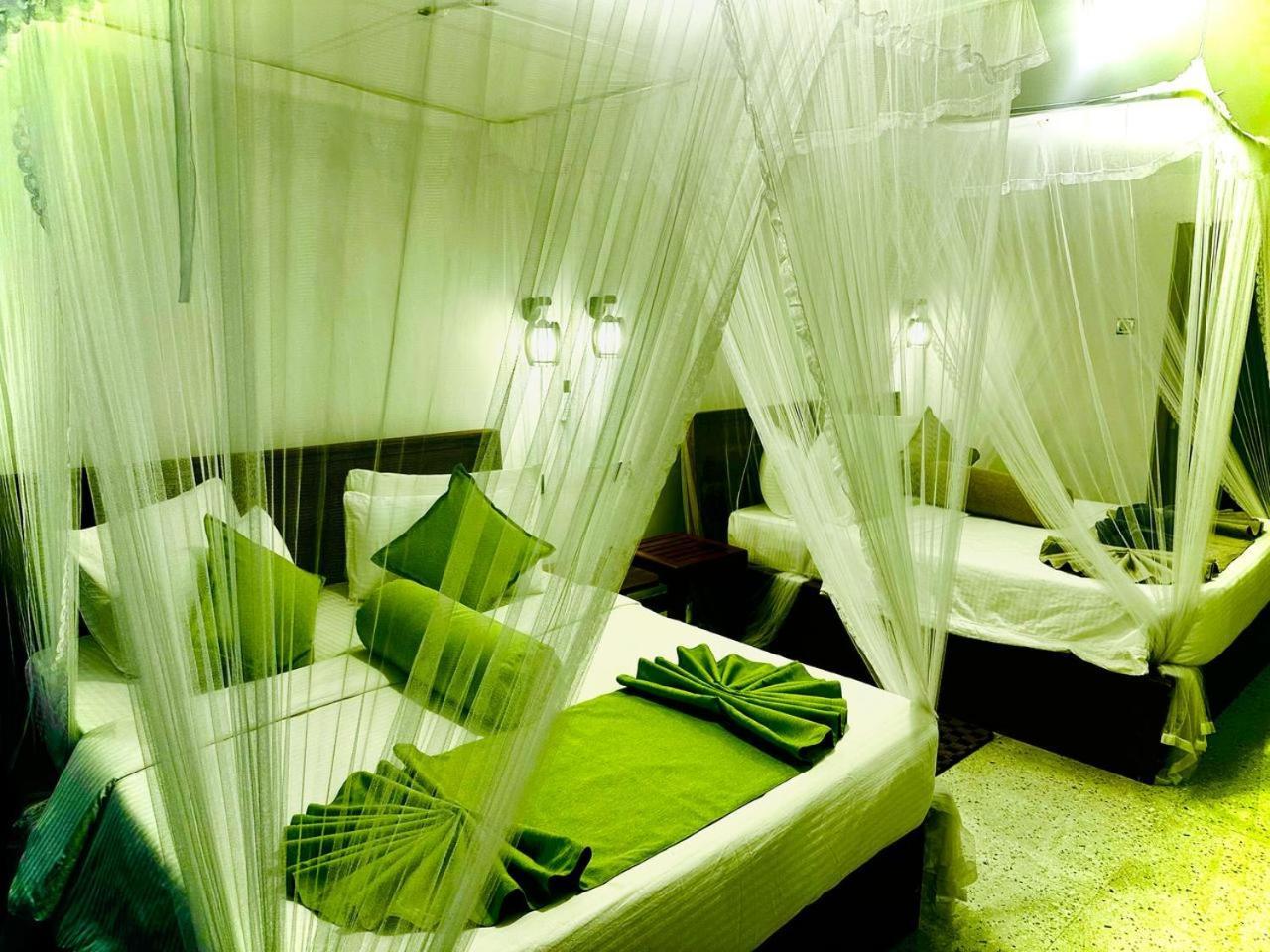 Shining Green View Ella Luaran gambar
