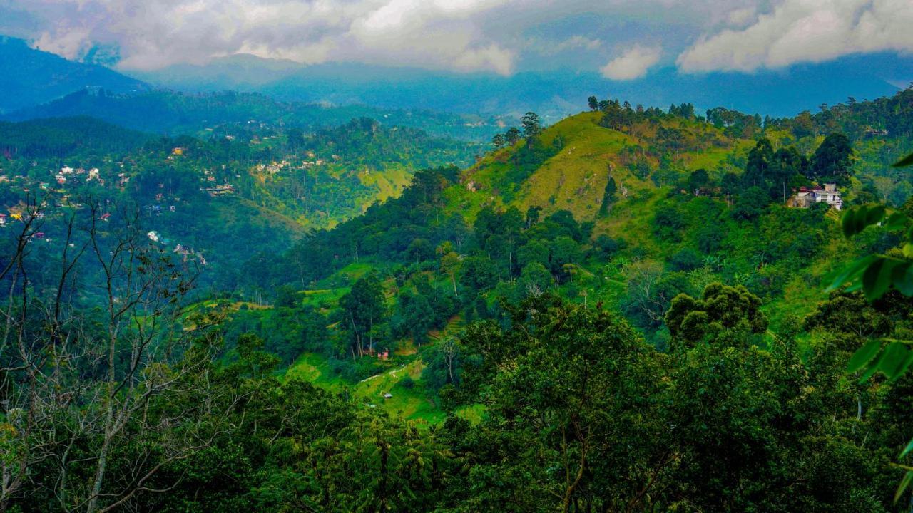 Shining Green View Ella Luaran gambar